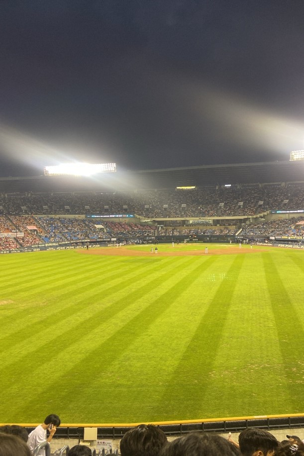 韓国で野球観戦