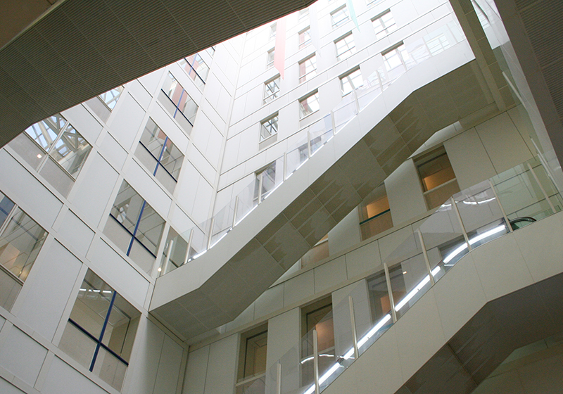 大学院