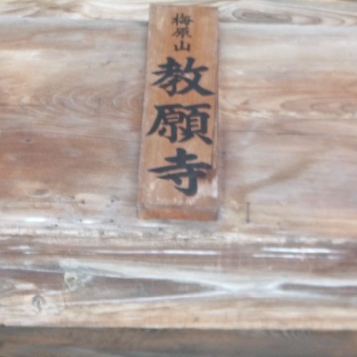 ★★⑭P1010360