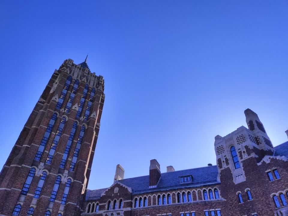 坂井先生イェール大学No3-5