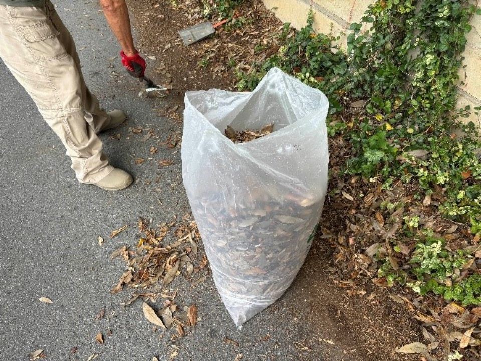 20251023中臺先生ボランティア体験③