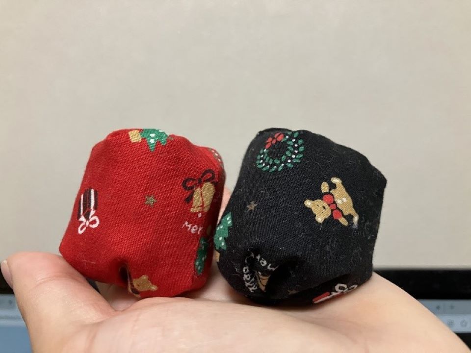 20251023中臺先生ボランティア体験8